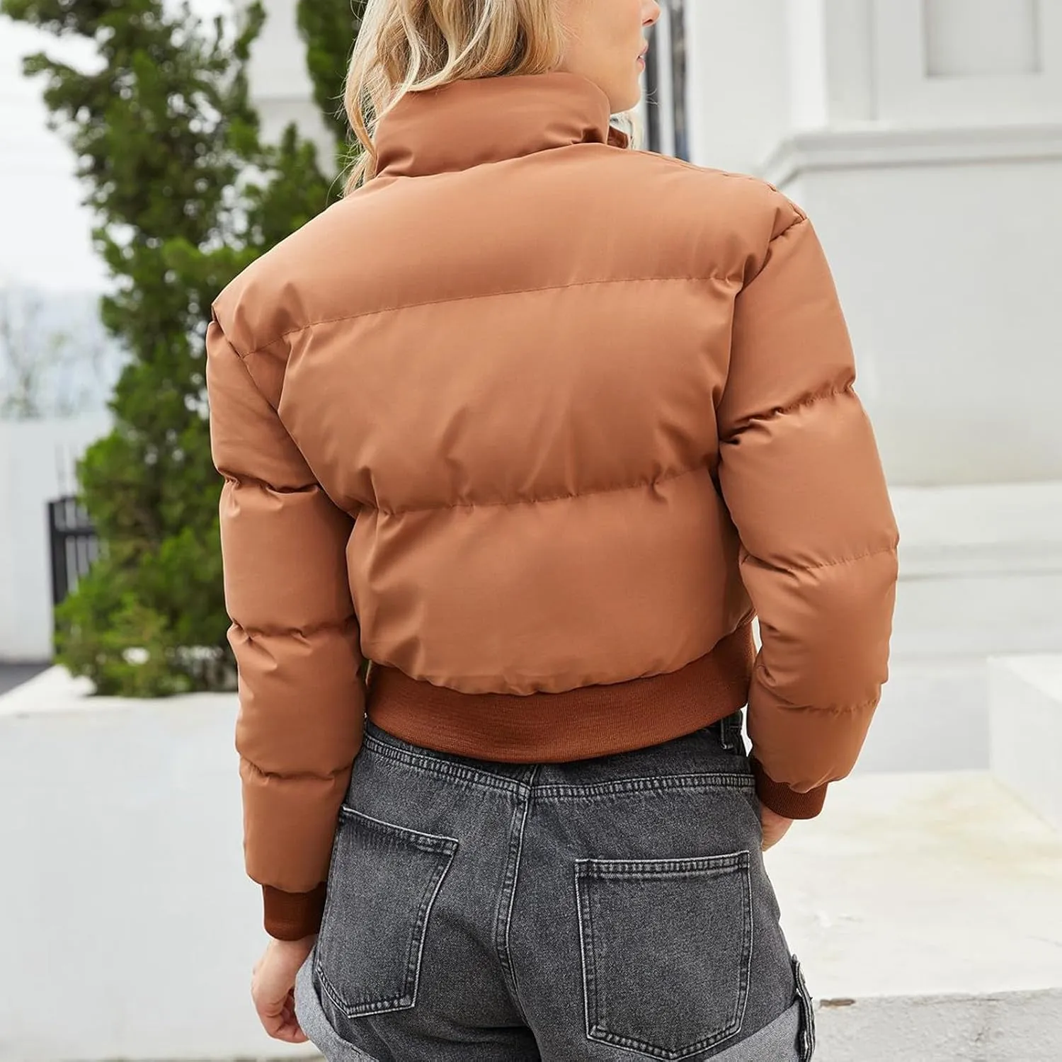 Women's Winter Cropped Puffer Jacket Long Sleeve Oversized Stand Collar Zip-Up Short Down Coat Fashion Solid Outwear