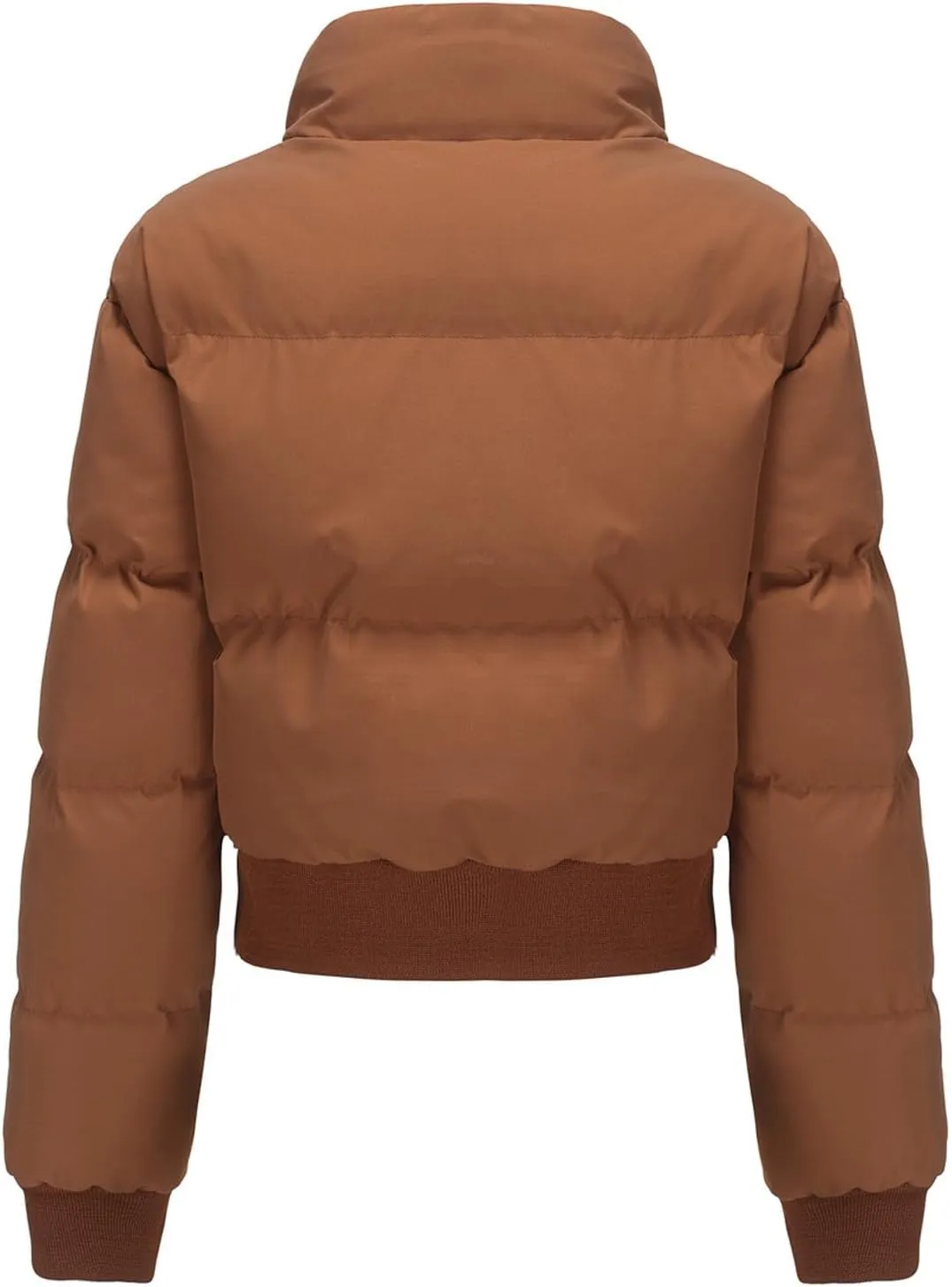 Women's Winter Cropped Puffer Jacket Long Sleeve Oversized Stand Collar Zip-Up Short Down Coat Fashion Solid Outwear